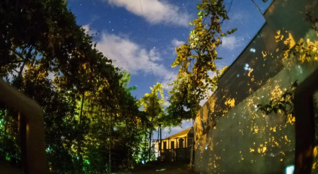 Номер Standard Batumi Homestay at Tamar Mephe Avenue