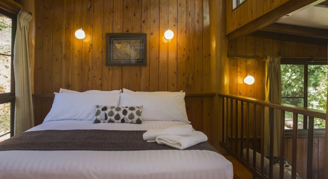 Номер Comfort Milkwood Lodge