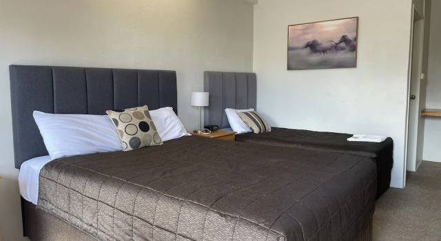 Одноместный номер Standard Citrus Motel