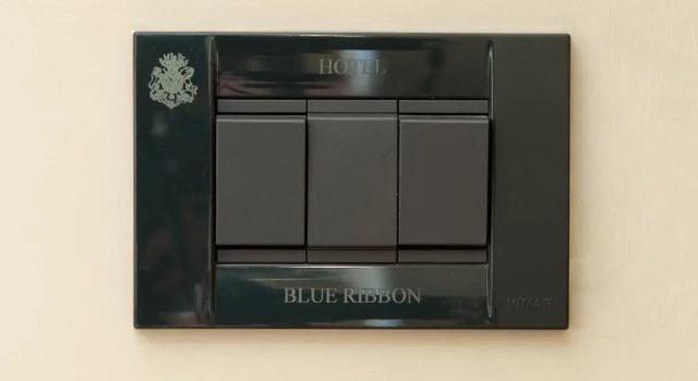 Одноместный номер Standard Hotel Blue Ribbon