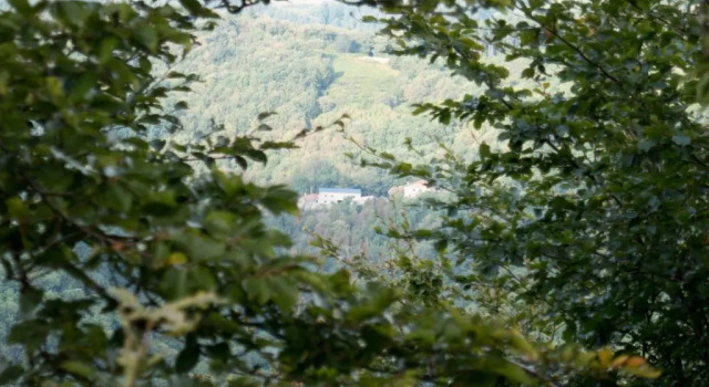Mökki Maison Au Milieu De La Foret