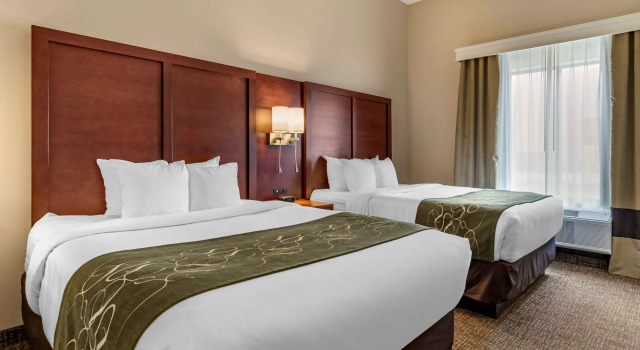 Четырёхместный люкс Comfort Suites Kyle