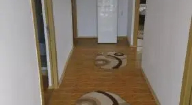 Vila Ciobanel