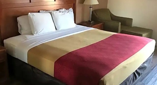 Номер Standard The Best Inn & Suites