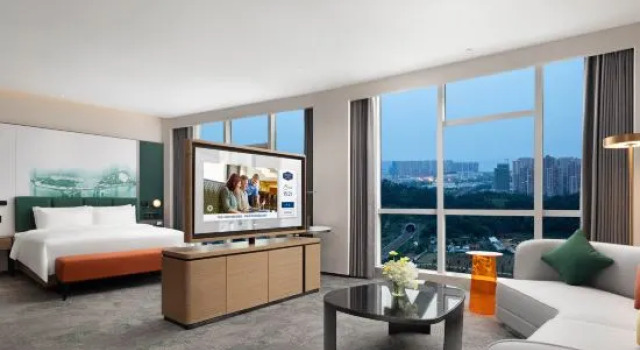 Люкс Hampton by Hilton Wuhan Jiangxia