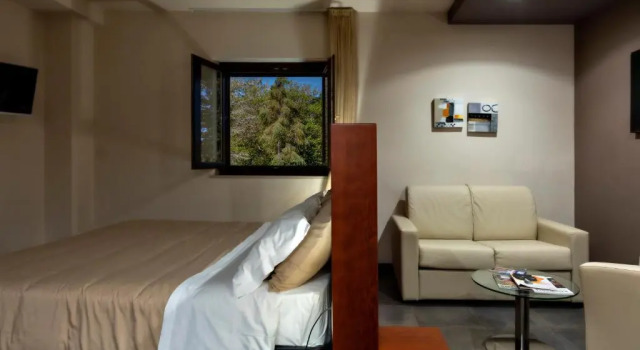 Einzel Junior-Suite Il Castagneto Hotel