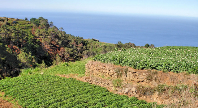 Secluded Tranquil Spacious Villa, Stunning Views, Heated Pool & A/C Theo'S