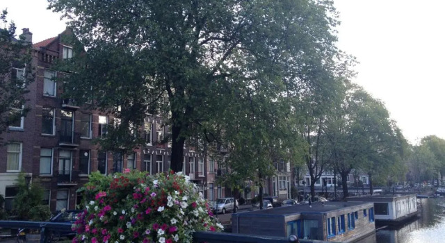 Апартаменты Great Apartment Amsterdam
