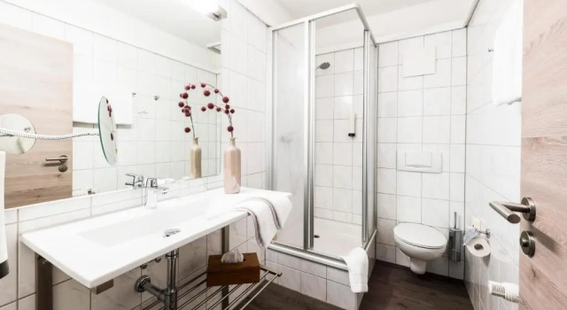 Одноместный номер Standard Best Western Hotel Mainz