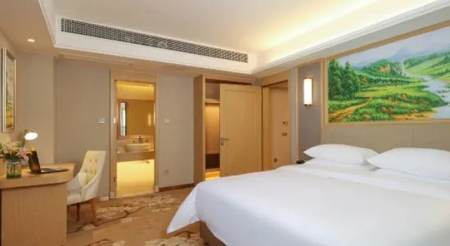 Люкс Vienna International Hotel (Qiyang High-tech District)