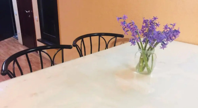 Suit apartment Erekle Tatishvili street, Забронировать Апартаменты/квартира Вера Тбилиси, рядом с Tеатр имени Марджанишвили