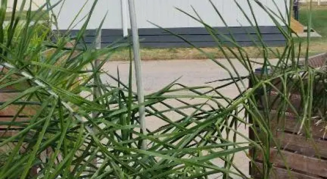 Номер Standard с видом на сад Yarrawonga Mulwala Holiday Park