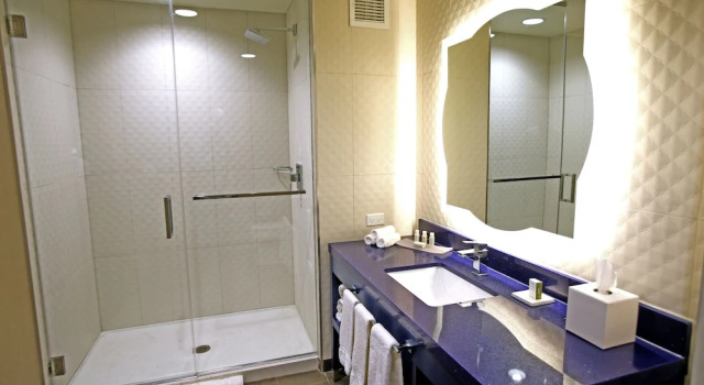 Четырёхместный номер Standard с балконом Hotel Indigo Naperville Riverwalk by IHG
