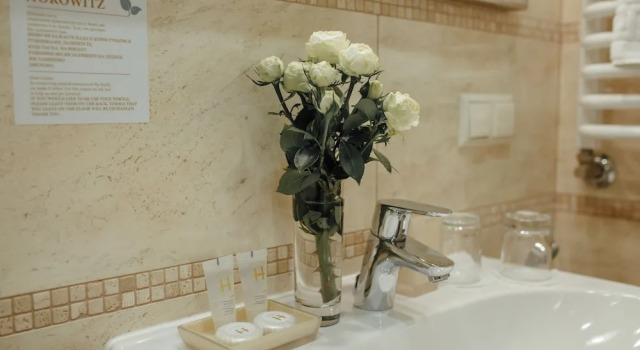 Номер Standard Apart-hotel Horowitz
