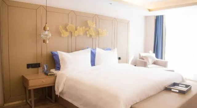 Люкс Business Family Tianzhongxing Hotel Zhumadian