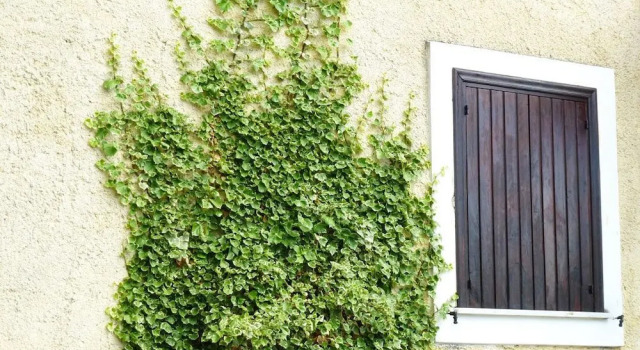 Agriturismo Macchiapiede