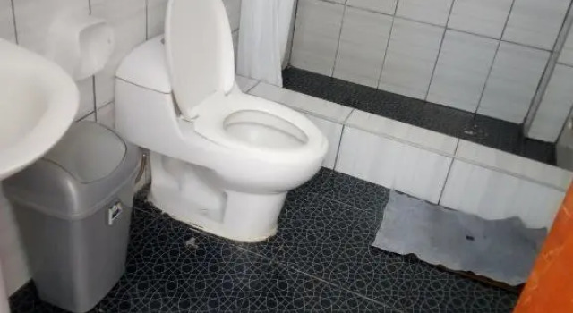 Economy Zimmer Starfish