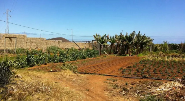 Finca Biologica, Prenota Appartamento Güímar 