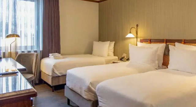 Трёхместный номер Superior Mercure Hotel Frankfurt Airport Langen