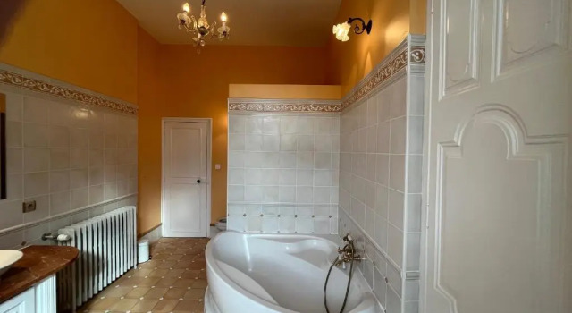 Номер Standard с видом на парк Chateau de Roquelune