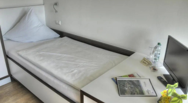 Двухместный номер Standard Rosa Flesch Hotel und Tagungszentrum