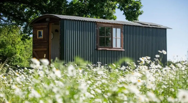 Студия Harbour Ranch Hut - Rustic Countryside Escape