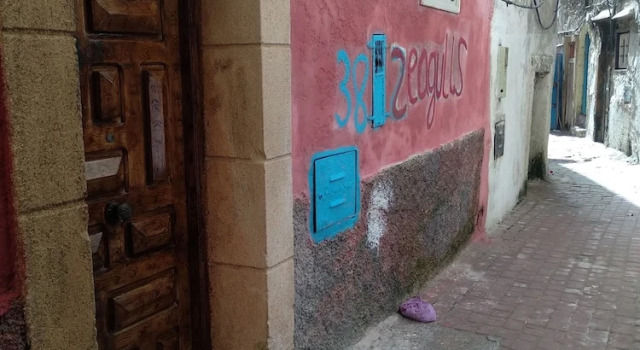 Seagulls Hostel