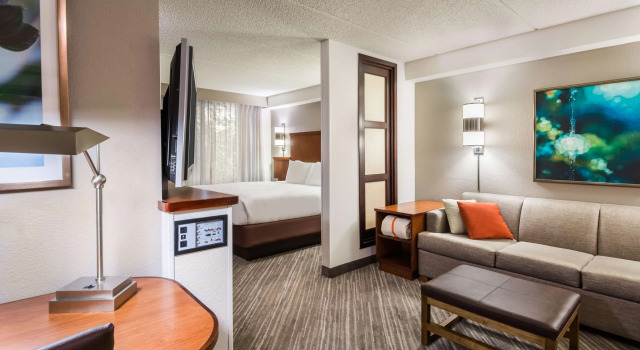 Двухместный номер Standard Hyatt Place Atlanta Duluth Johns Creek