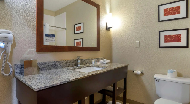 Четырёхместный люкс Comfort Suites Hattiesburg near University