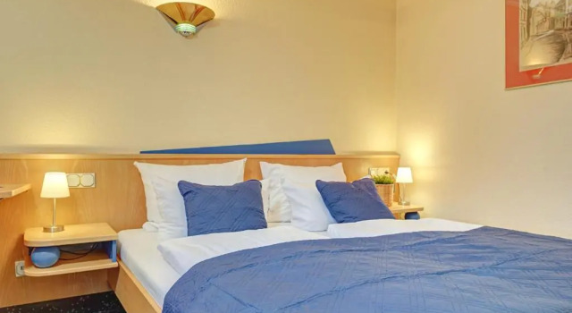 Одноместный номер Economy Hotel Mühlhäuser Hof