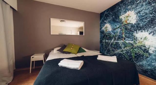Двухместный номер Standard Hotel Kittilä