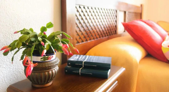 Номер Standard Hotel Galaroza Sierra