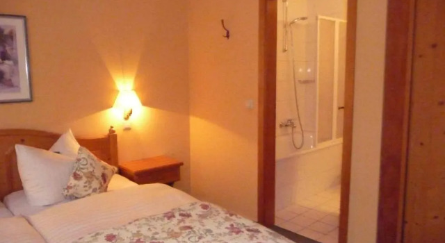 Двухместный номер Standard Hotel Am Grudenberg