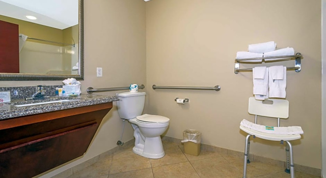 Люкс Comfort Inn and Suites Maingate South Davenport