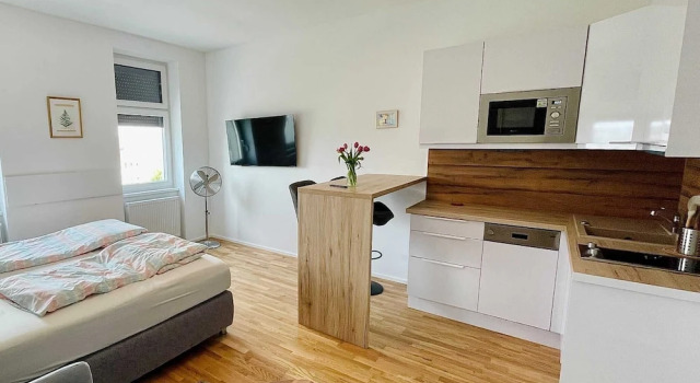 Студия Economy Comfortable Apartments Vienna 1100