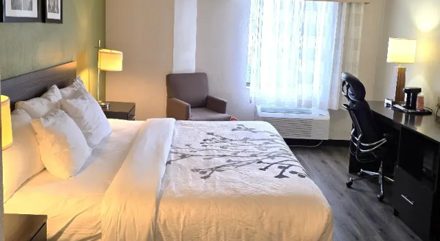 Номер Premium Tolani Hotel