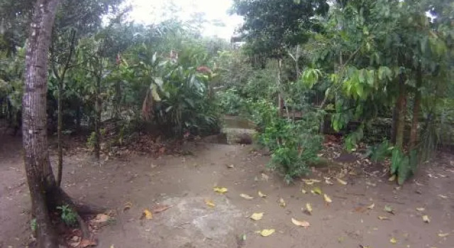 Ecoparque Agua Selva, Réserver Hôtel Malpasito Chiapas