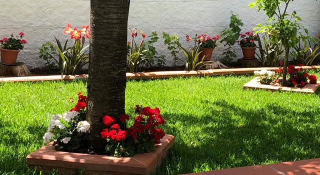 La Casa delle Ortensie Guest House, Varaa Matkakoti Scilla Calabria