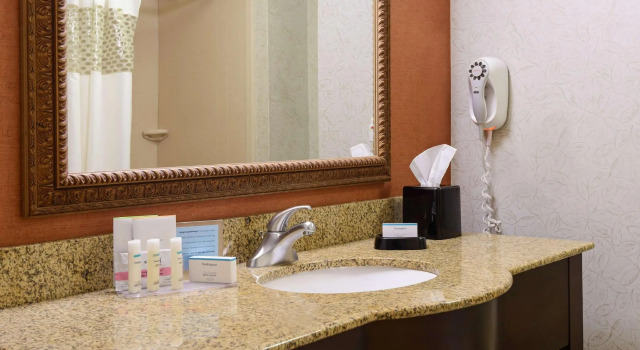 Четырёхместный номер Standard Hampton Inn and Suites Peoria at Grand Prairie