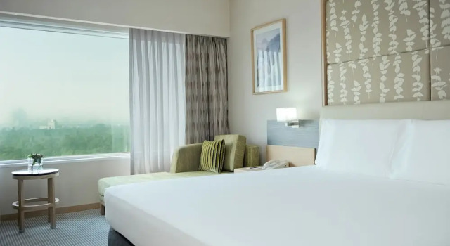 Двухместный номер с видом на парк Hyatt Regency Mexico City