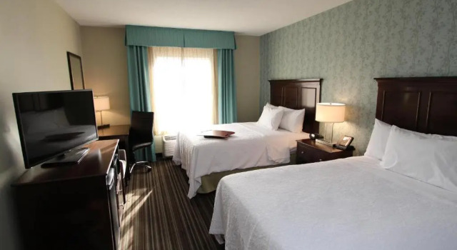 Четырёхместный номер Standard Hampton Inn & Suites by Hilton St. Johns Airport