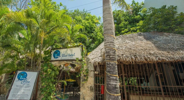 Luna Blue Hotel Playa del Carmen, Забронировать Отель Плая-дель-Кармен Кинтана-Роо, рядом с Пляжный клуб Mamitas