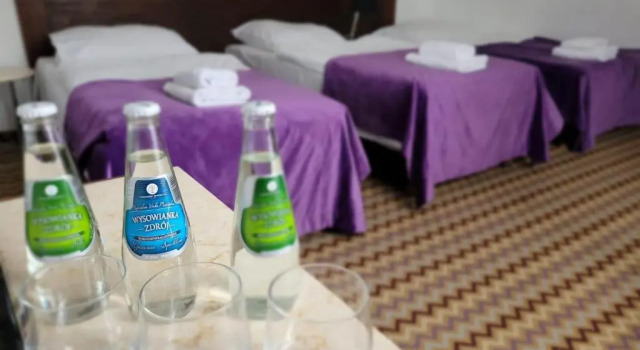 Трёхместный номер Standard Boutique Eco Hotel Sasanka