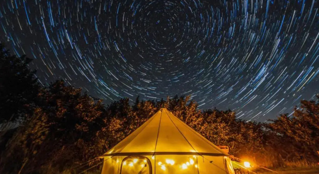 Тент Daisy Bell Tent at Belan Bluebell Woods