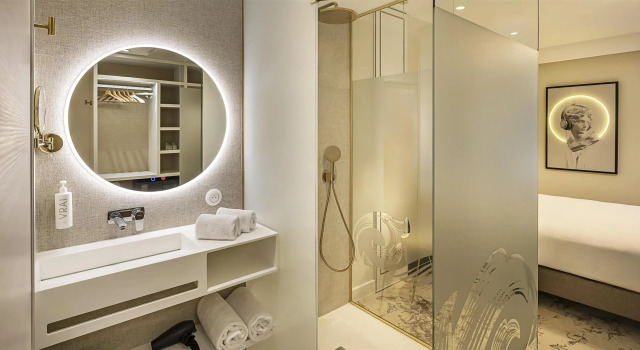 Двухместный номер Superior Best Western Plus Hotel Saint-Roch Orleans