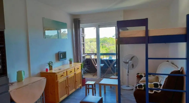 studio à l'océan au dessus des pins (plage & commerces à pied)