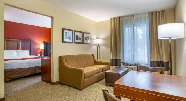 Одноместный номер Standard Comfort Inn Redwood City