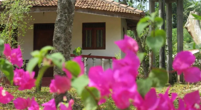 Calm Garden Cabanas