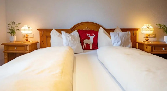 Двухместный номер Standard Hotel & Restaurant Grüner Baum - Die Grüne Oase Am Feldberg