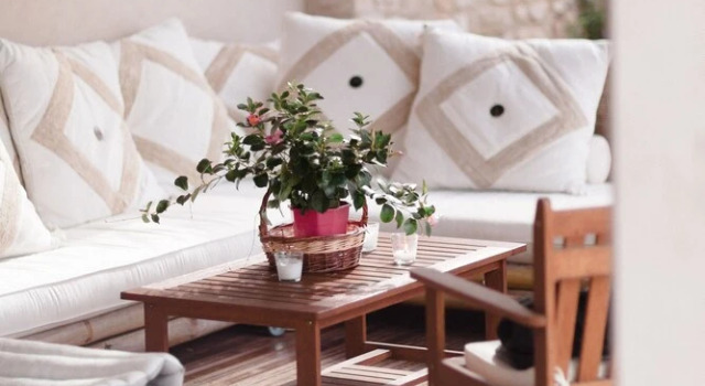 PROVENCE Dodo